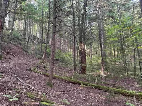 00 Brown Rd, Worcester, VT 05682 photo 6