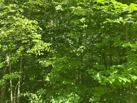 28 Upper Howes Way #00CHA028.000, Wilmington, VT 05363