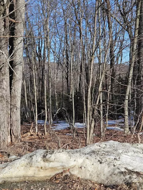 2 Johnson Hl, Dover, VT 05356