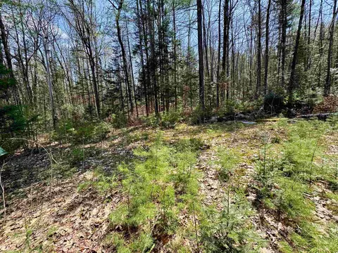 3826 Leighton Hill Rd, Newbury, VT 05081