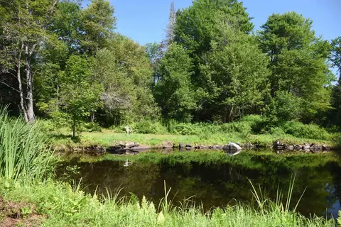 View/Area - 1078 Brook Rd, Marshfield, VT 05658 photo 3 of 3
