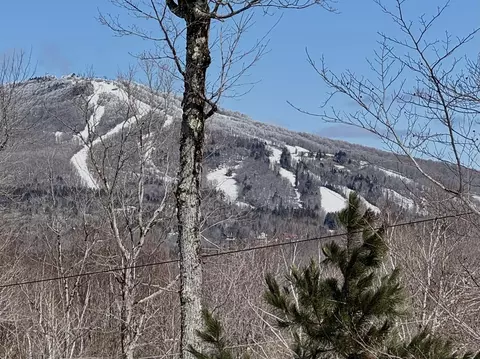 520 Moose Hollow Rd, Winhall, VT 05340