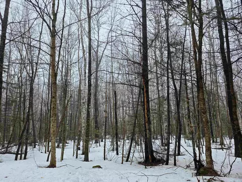 1500 Allard Hill Rd, Wheelock, VT 05851