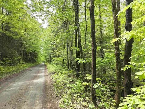 1500 Allard Hill Rd, Wheelock, VT 05851
