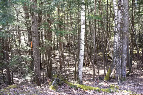 lot185 Hanover Dr #185, Haverhill, NH 03765