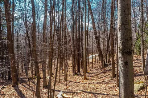 78 Captain Copeland Rd #LOT 2, Dover, VT 05341