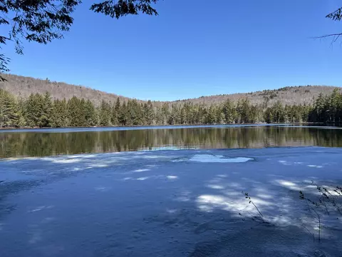 Forrester Road, Jamaica, VT 05343
