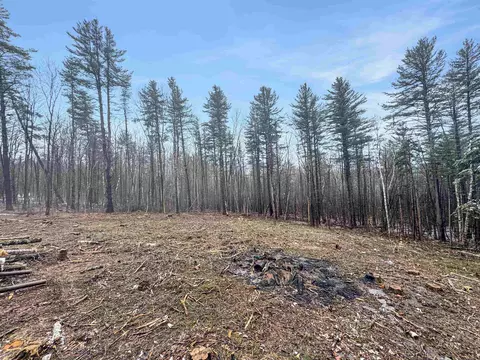 0 E Dover Rd, Wardsboro, VT 05355 photo 2