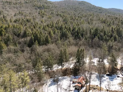 206 Smith Rd, Jamaica, VT 05343