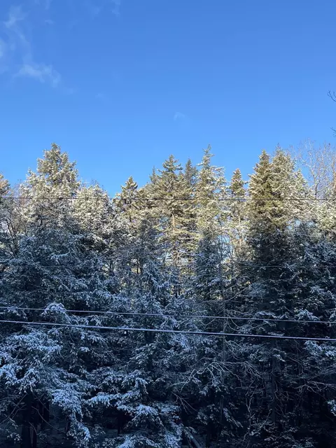997 Stratton Arlington Rd, Stratton, VT 05360
