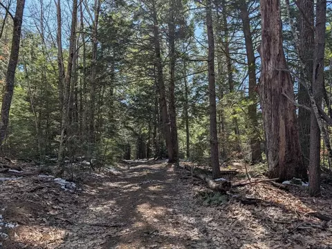 M1, Barnstead, NH 03225 photo 10