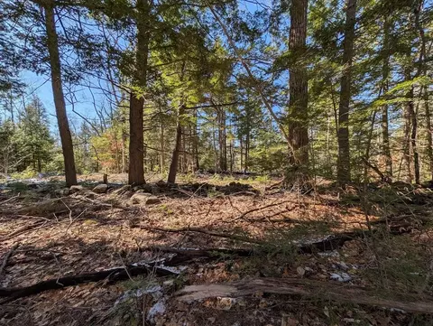 M1, Barnstead, NH 03225 photo 7