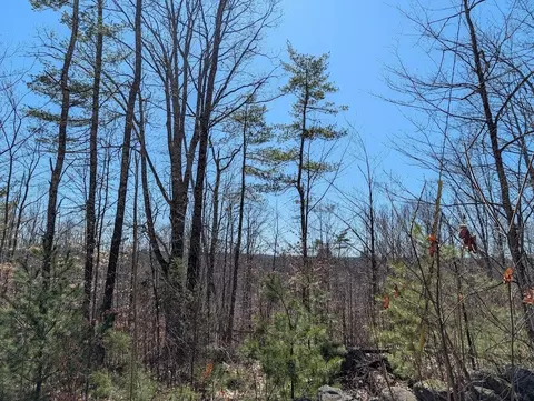 M1, Barnstead, NH 03225 photo 19