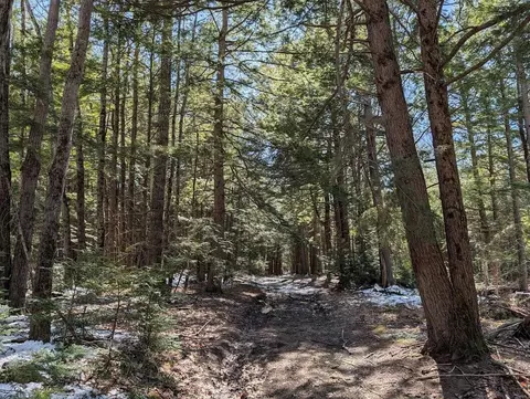 M1, Barnstead, NH 03225 photo 8