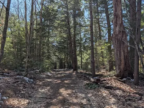 M1, Barnstead, NH 03225 photo 28