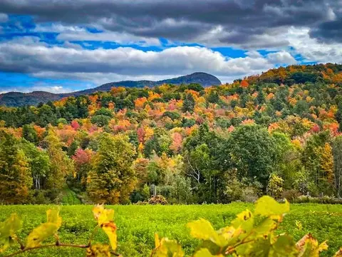0 Applesauce Hill Rd #3, Castleton, VT 05735 photo 55