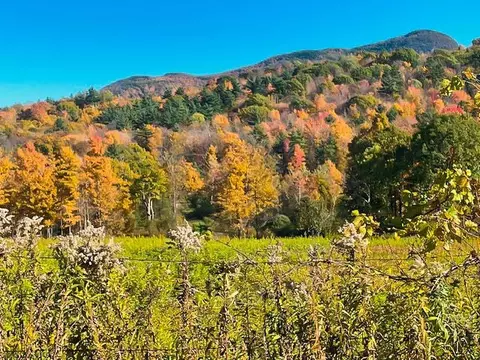 0 Applesauce Hill Rd #3, Castleton, VT 05735 photo 54