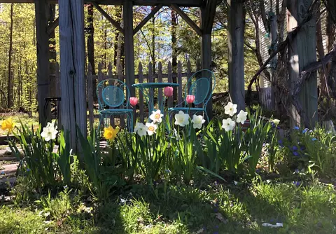 Exterior - 2381 E Washington Rd, Washington, NH 03280 photo 5 of 13