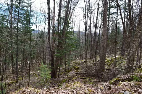 lot177 Belknap Dr #177, Haverhill, NH 03765