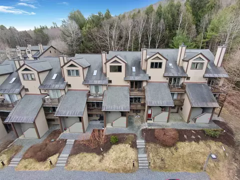 70 Mountains Edge Rd #606, Brownsville, VT 05037