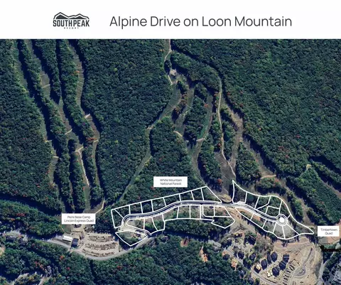 32 Alpine Dr #39.32, Lincoln, NH 03251