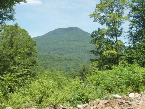00 Finbars Forest Rd #7, Manchester, VT 05255
