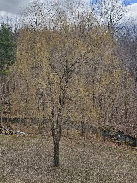 Other - 5 Ted Rd, Milton, VT 05468 photo 12 of 12