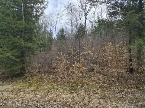 Pond Road #1, Rockingham, VT 05346
