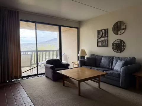 1275 Notchbrook Rd #20 AB, Stowe, VT 05672
