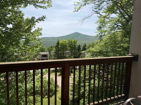 1275 Notchbrook Rd #20 AB, Stowe, VT 05672