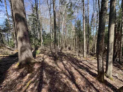 00 Prospect St, Bethlehem, NH 03574 photo 6
