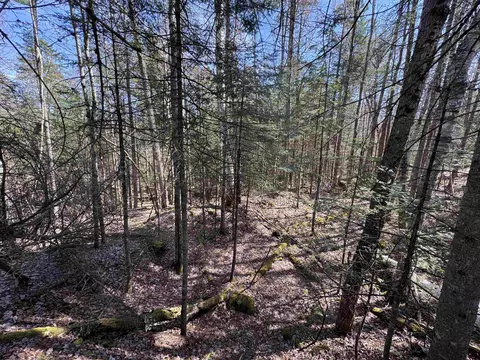 00 Prospect St, Bethlehem, NH 03574 photo 11