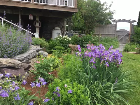Exterior - 560 Route 30, Cornwall, VT 05753 photo 6 of 8