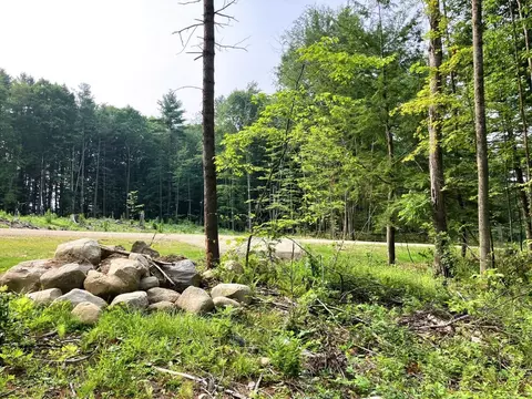lot5 Fern Lake Rd, Leicester, VT 05733