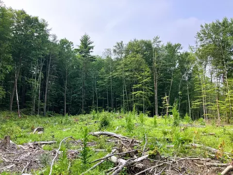 lot8 Fern Lake Rd, Leicester, VT 05733
