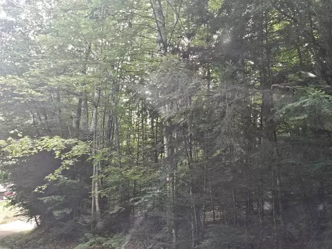 lot254 Kearsarge Dr, Haverhill, NH 03765