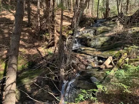 tbd Vt Rt 100, Warren, VT 05674