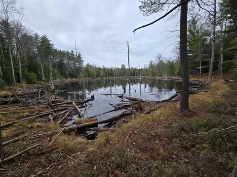 View/Area - 669 High St, Candia, NH 03034 photo 3 of 4