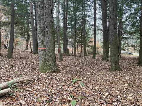 890 Baker Turn Rd #2092, Hartford, VT 05059