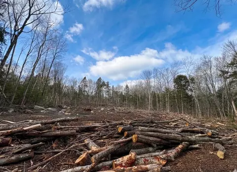 lot14 NE Pond Rd, Milton, NH 03851