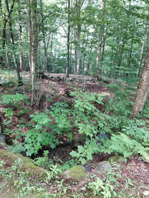 Mitchell Road, Thornton, NH 03223 photo 5