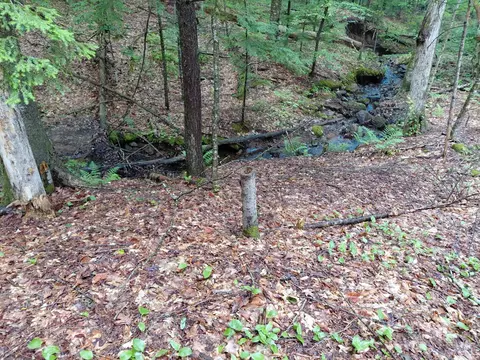 Mitchell Road, Thornton, NH 03223 photo 4