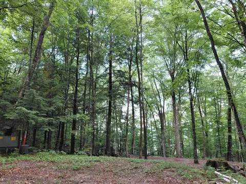 Mitchell Road, Thornton, NH 03223