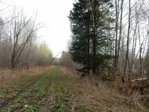 00 Burton Hill Rd, Barton, VT 05822
