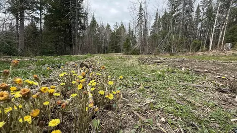 227 Dukes Rd, Johnson, VT 05656