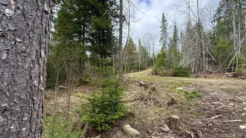 227 Dukes Rd, Johnson, VT 05656 photo 37