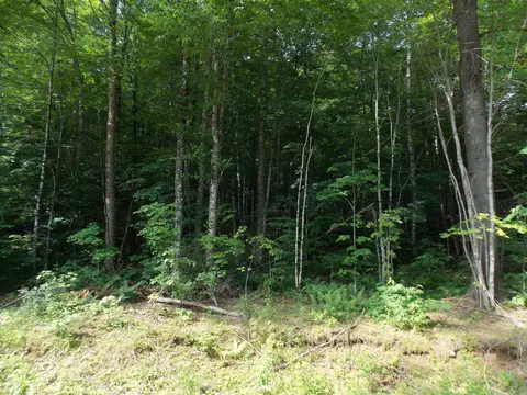 939 Us Route 5, Sutton, VT 05867 photo 20