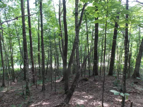 939 Us Route 5, Sutton, VT 05867 photo 19