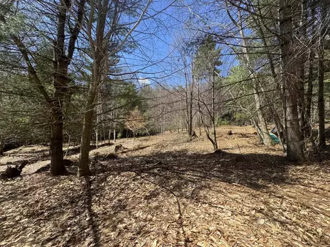 4 5 Haley Dr #LOT 4 &  5, Hyde Park, VT 05655