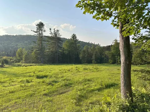 335 Calais Rd, Worcester, VT 05682 photo 30